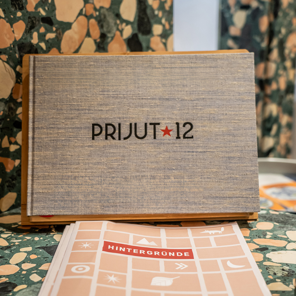 Prijut12 das Buch